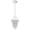Уличный подвесной светильник Feron Классика НСУ 0460001 32269