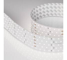 Светодиодная лента Arlight 6W/m 350Led/m 2835SMD дневной белый 2,5M RT-A350-58mm 24V Day5000 CRI98 025162(2)