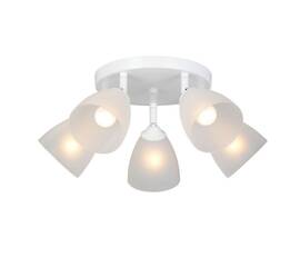 Потолочная люстра Vitaluce V4355-0/5PL