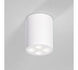 Потолочный светильник Elektrostandard 25111/LED a067483