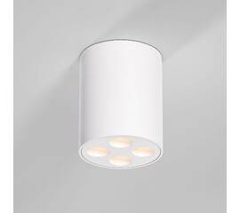 Потолочный светильник Elektrostandard 25111/LED a067482