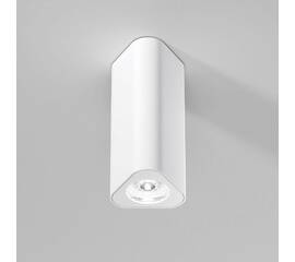 Потолочный светильник Elektrostandard 25110/LED a067062