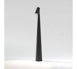 Настольная лампа Elektrostandard Elite TL70250 a068070