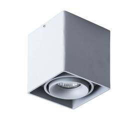 Потолочный светильник Arte Lamp Pictor A5654PL-1GY