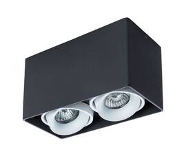 Потолочный светильник Arte Lamp Pictor A5654PL-2BK