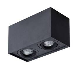 Потолочный светильник Arte Lamp Factor A5544PL-2BK