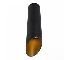 Потолочный светильник Arte Lamp Pilon-Gold A1535PL-1BK