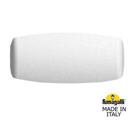 Уличный настенный светильник Fumagalli AB3.000.000.WXP1L