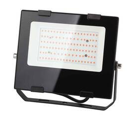 Фитопрожектор для растений ЭРА FITO-50W-RB-LED Б0046368