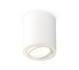 Потолочный светильник Ambrella Light Techno Spot XS7421001 (C7421, N7001)