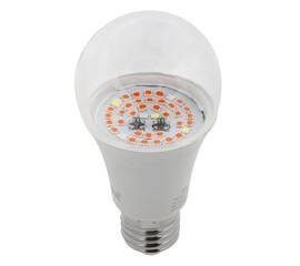 Фитолампа для растений светодиодная ЭРА E27 14W 1300K FITO-14W-RB-E27 Б0050602
