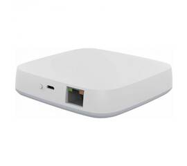 Проводной шлюз ДУ iLedex Technical Vision ZGB 2