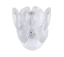 Настенный светильник Arte Lamp Kapri A4078AP-2CC