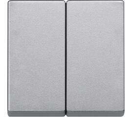 Клавиша двойная Schneider Electric Merten System M MTN433560