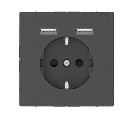 Розетка компьютерная USBx2 Schneider Electric Merten D-Life MTN2366-6034