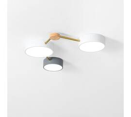 Потолочный светильник ImperiumLoft Solen 207842-26