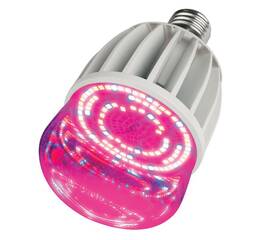 Лампа светодиодная для растений (11098) Uniel E27 20W прозрачная LED-M80-20W/SP/E27/CL ALS55WH