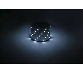 Светодиодная лента Эра 12В 5050 7,2Вт/м 6500K 5м IP20 LS5050-7,2-30-12-6500K-IP20-1 year-5m Б0059917