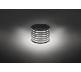 Светодиодная лента Эра 12В 2835 19,2Вт/м 4000K 5м IP20 LS2835-19,2-240-12-4000K-IP20-1 year-5m Б0059