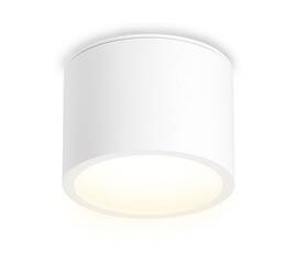 Накладной светильник Ambrella Light IP Protect TN6550