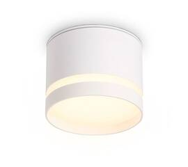 Накладной светильник Ambrella Light IP Protect TN6571