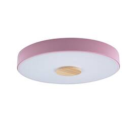 Потолочный светодиодный светильник Loft IT Axel 10003/24 pink