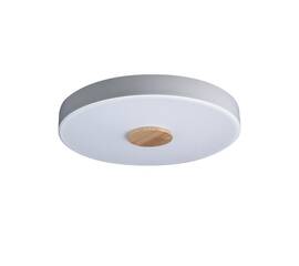 Потолочный светодиодный светильник Loft IT Axel 10003/24 white