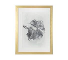 Постер Tomas Stern 83024