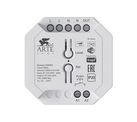 Диммер Arte Lamp Triac A80D-01CH-WF