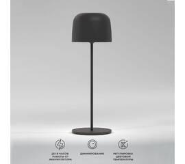 Уличная настольная лампа Elektrostandard Bitty TL70260 4690389211638 a069002