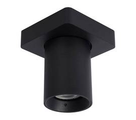 Спот Lucide Nigel 09929/05/30