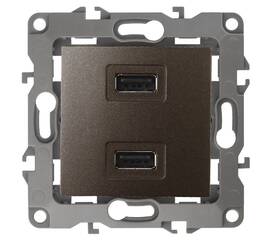 Розетка USB Эра 12-4110-13 Б0027498