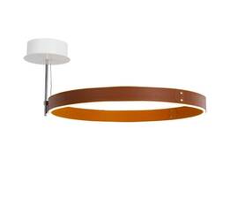 Потолочный светильник DeLight Collection MX18001059-1M coffee/black