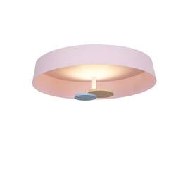 Потолочный светильник DeLight Collection MX19001031-1A pink