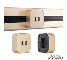 Трековая розетка Arte Milano Am-track-sockets 380022TS/USBx2 Gold