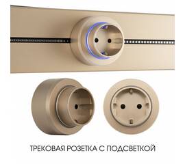 Трековая розетка Arte Milano Am-track-sockets-39 397951TS/ES Gold