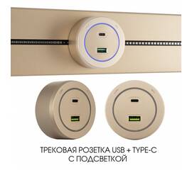 Трековая розетка Arte Milano Am-track-sockets-39 399731TS/USB-Type-C Gold