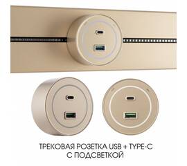 Трековая розетка Arte Milano Am-track-sockets-39 399732TS/USB-Type-C Gold