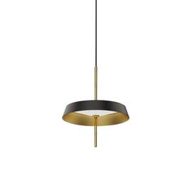 Подвесной светильник DeLight Collection MD18001061-1A  black/gold