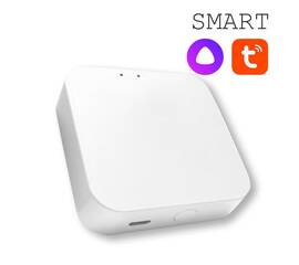 Конвертер WI-FI для трековой системы EKS Colibri Smart 0У-00002005