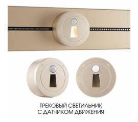 Трековая подсветка Arte Milano Am-track-sockets 397953TLS/LWS Gold