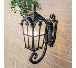 Уличный настенный светильник Elektrostandard Mira a025300