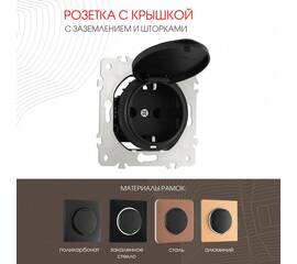 Розетка с заземлением, шторками и защитной крышкой Arte Milano 202.41-1.black