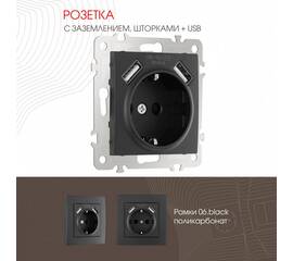 Розетка с заземлением, шторками + 2 USB Arte Milano 206.47-1.black