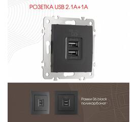 Розетка USB 2.1А+1А Arte Milano 206.46-1.black