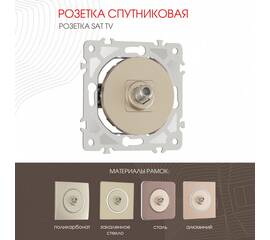 Розетка спутниковая SAT TV Arte Milano 202.42-1.shampan
