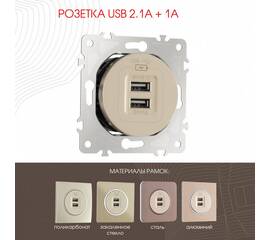 Розетка USB 2.1А+1А Arte Milano 202.46-1.shampan