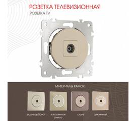 Розетка TV Arte Milano 202.43-1.shampan