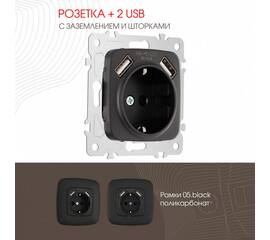 Розетка с заземлением, шторками + 2 USB Arte Milano 205.47-1.black