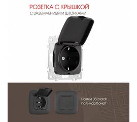 Розетка с заземлением, шторками и защитной крышкой Arte Milano 205.41-1.black